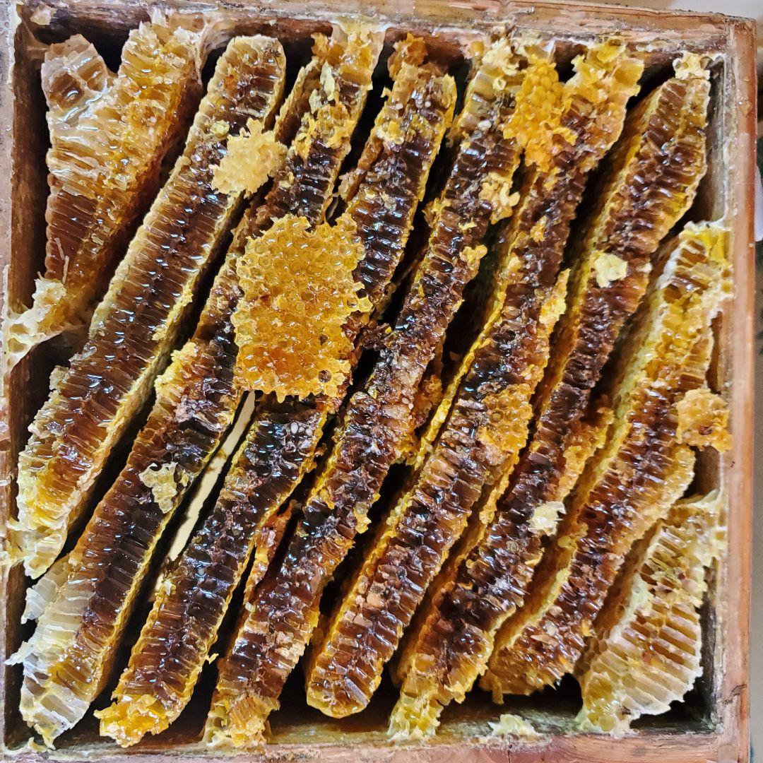 日本蜜蜂100%純粋国産ハチミツ