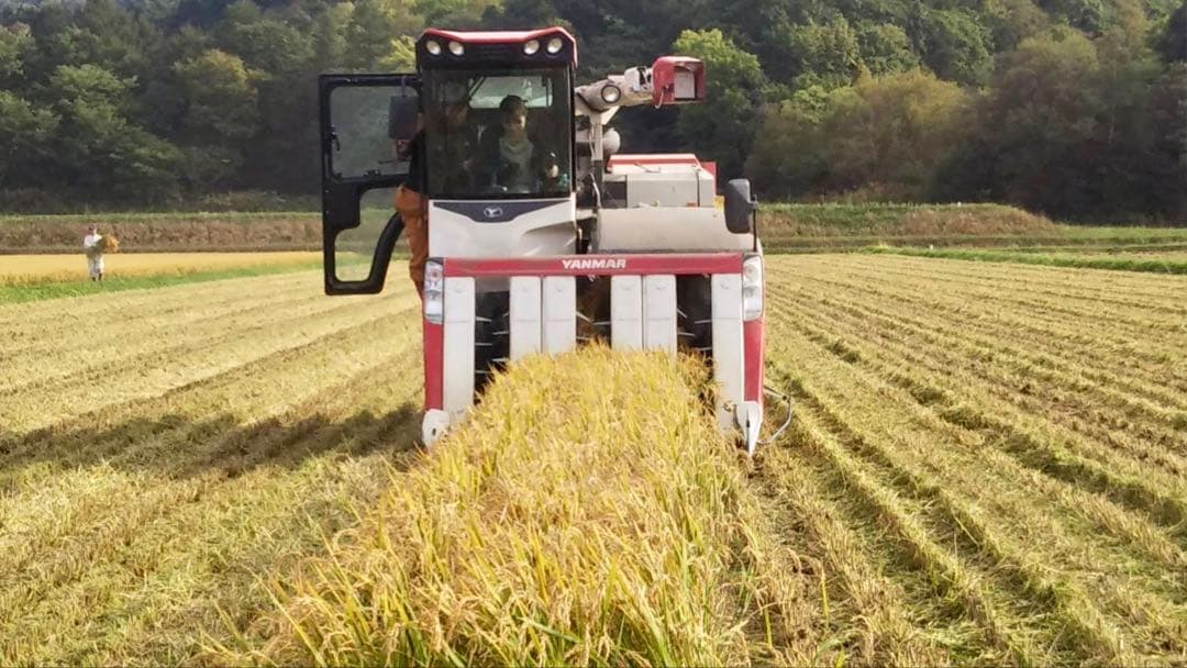 新米＊ゆめぴりか＊北海道産＊農家直送＊送料込み＊美味しいお米＊5キロ×2個