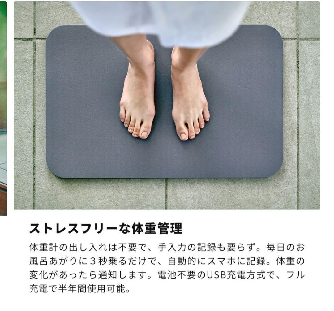 ISSIN スマートバスマット 体組成計モデル　SBM24W01LJ 2024年