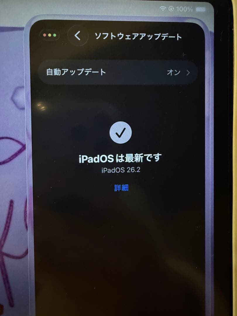 Apple iPad Pro 11インチ 第4世代　128GB