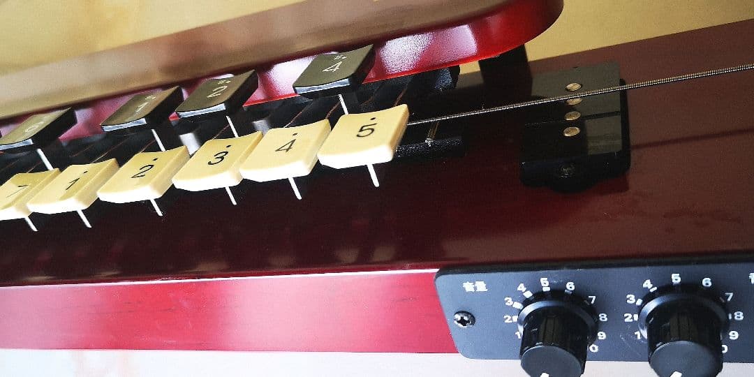 LYRISH 大正琴 「 LSB95」 BASS 弓付き