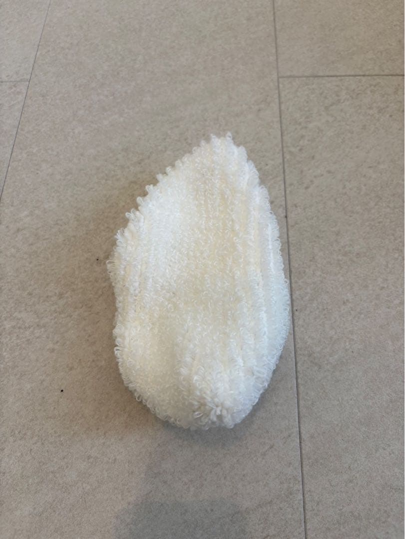 Kärcher スチームクリーナー 本体