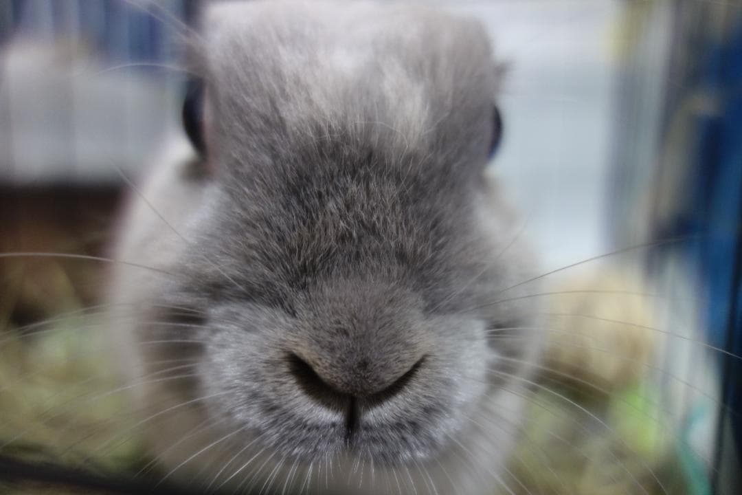 SONY コンパクトデジタルカメラ rx 100 美品　ケース付き　箱付き