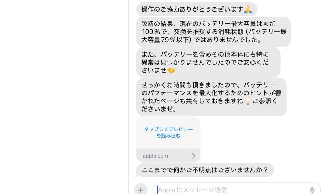 【美品！】【バッテリー容量100%】iPad第10世代 本体 ブルー