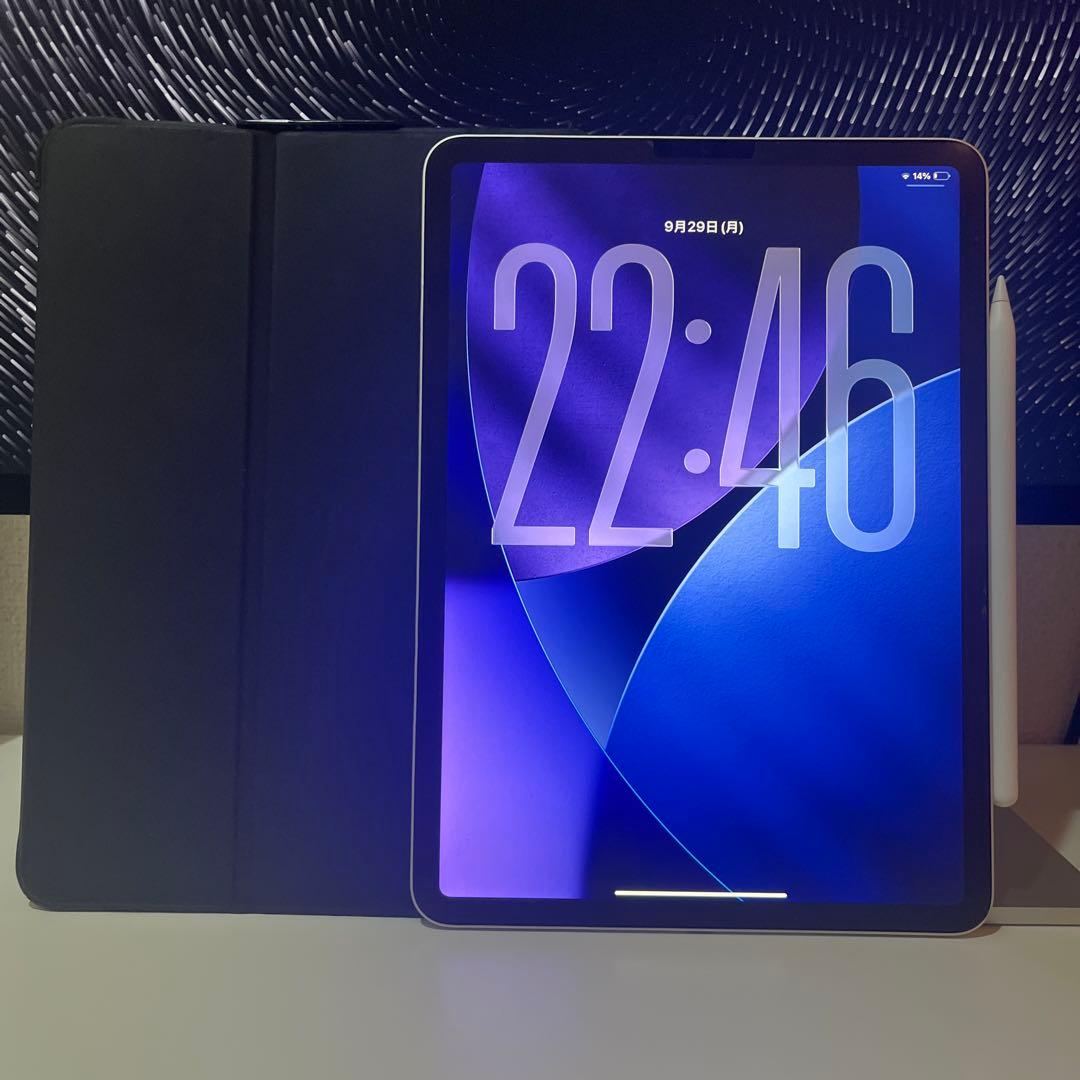 ipad pro 11インチ 第1世代 256GB [シルバー] 純正おまけ付き