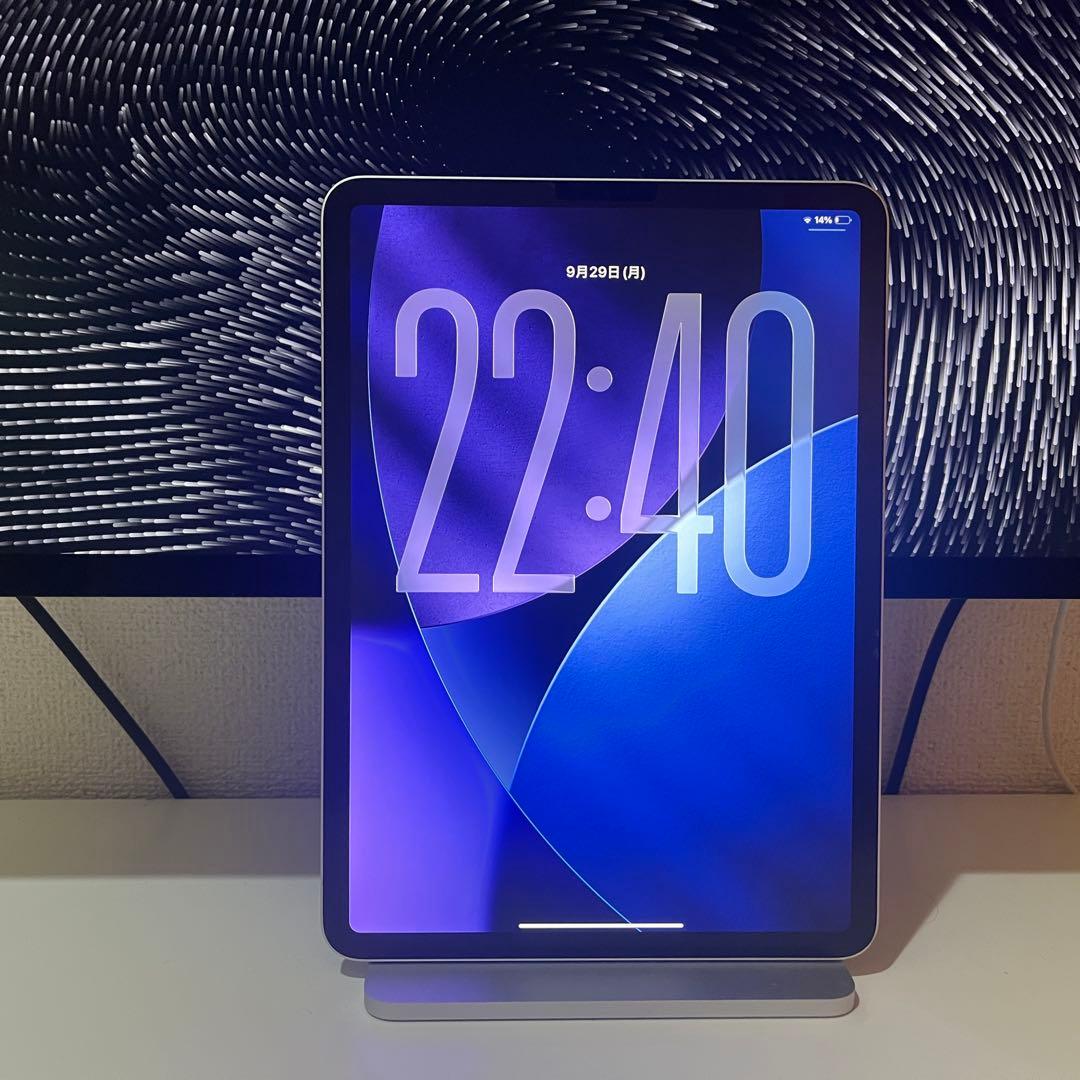 ipad pro 11インチ 第1世代 256GB [シルバー] 純正おまけ付き