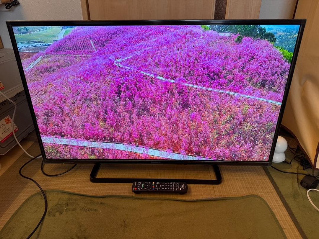 超美品！Panasonic　パナソニック 42型 テレビ TH-42C300