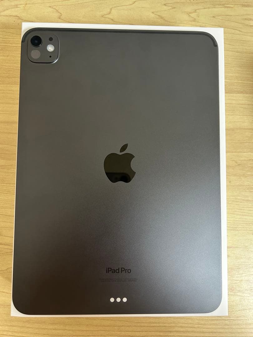 iPad Pro 11インチ M4 256GB