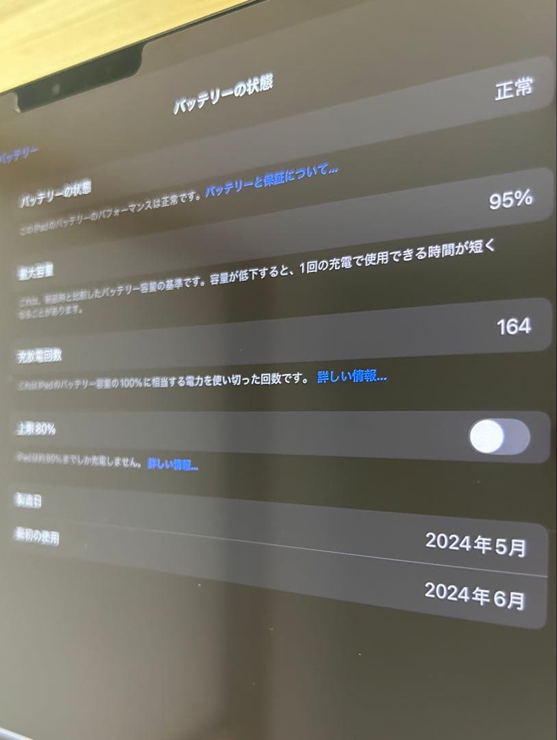 iPad Pro 11インチ M4 256GB