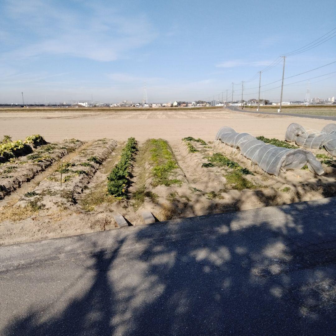 7年産　愛知県日本のデンマーク安城市 農家直送　玄米30キロ送料込み　精米無料