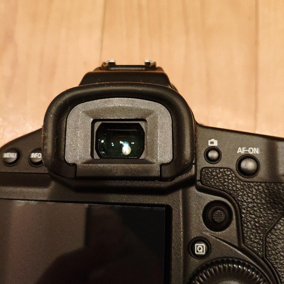 Canon EOS-1D X 本体 バッテリーCFカード2個付