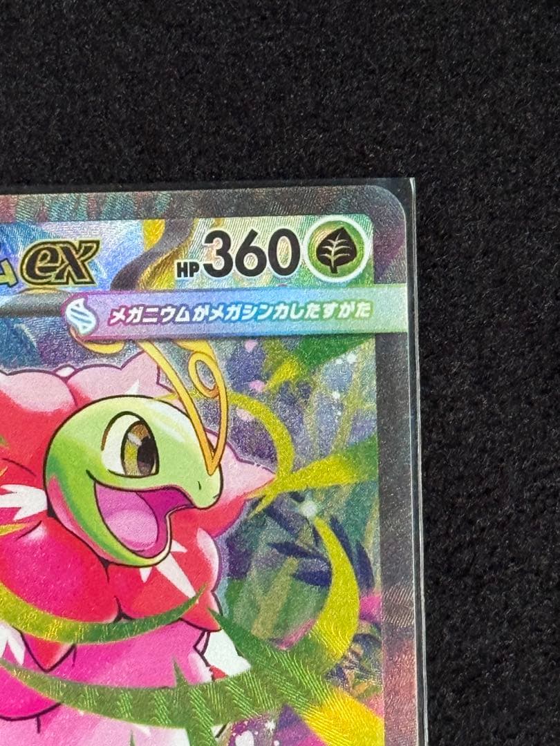 メガメガニウムex 761/742 スタートデッキ100