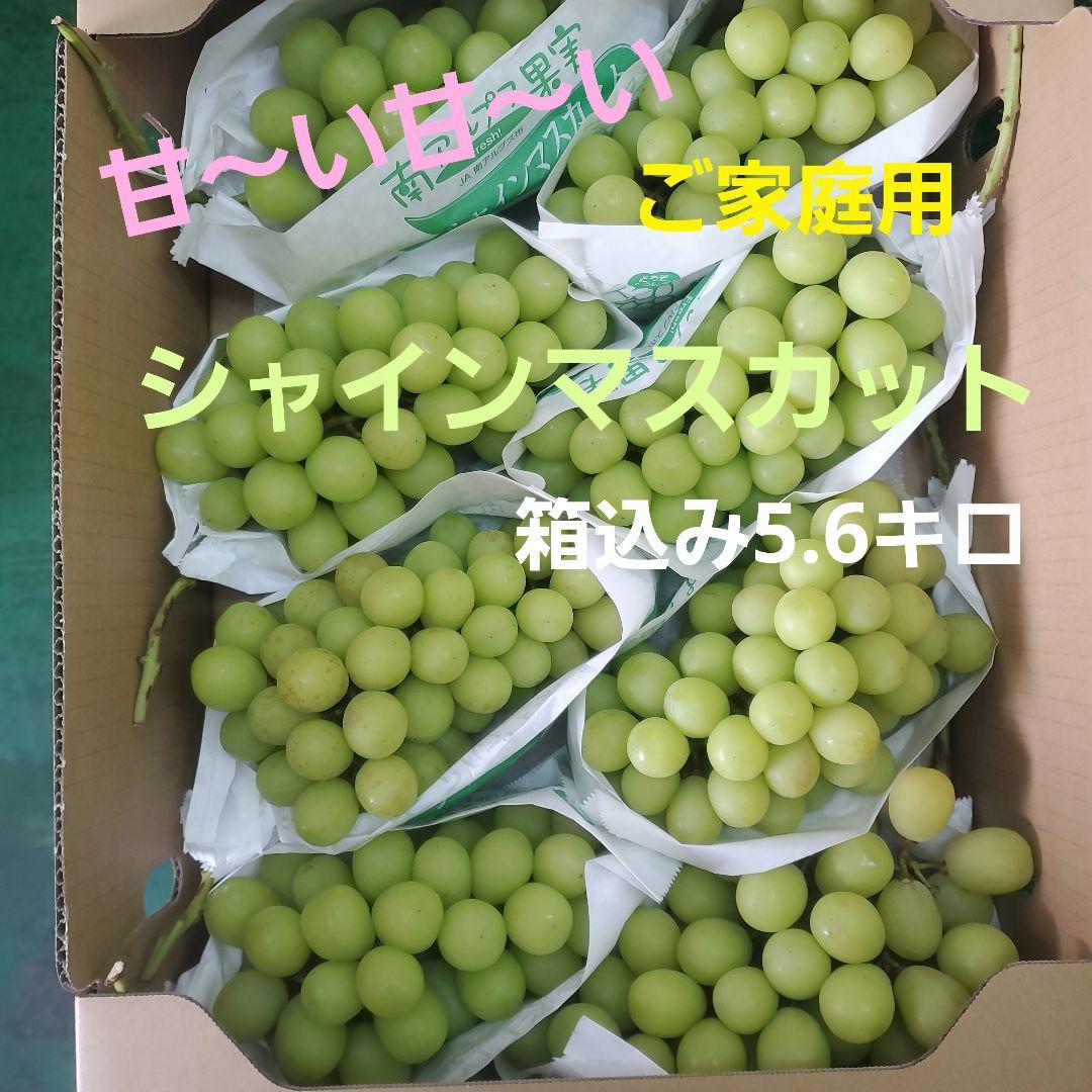 0️⃣4️⃣ 山梨県産 シャインマスカット８房入り 箱込み5.6キロ