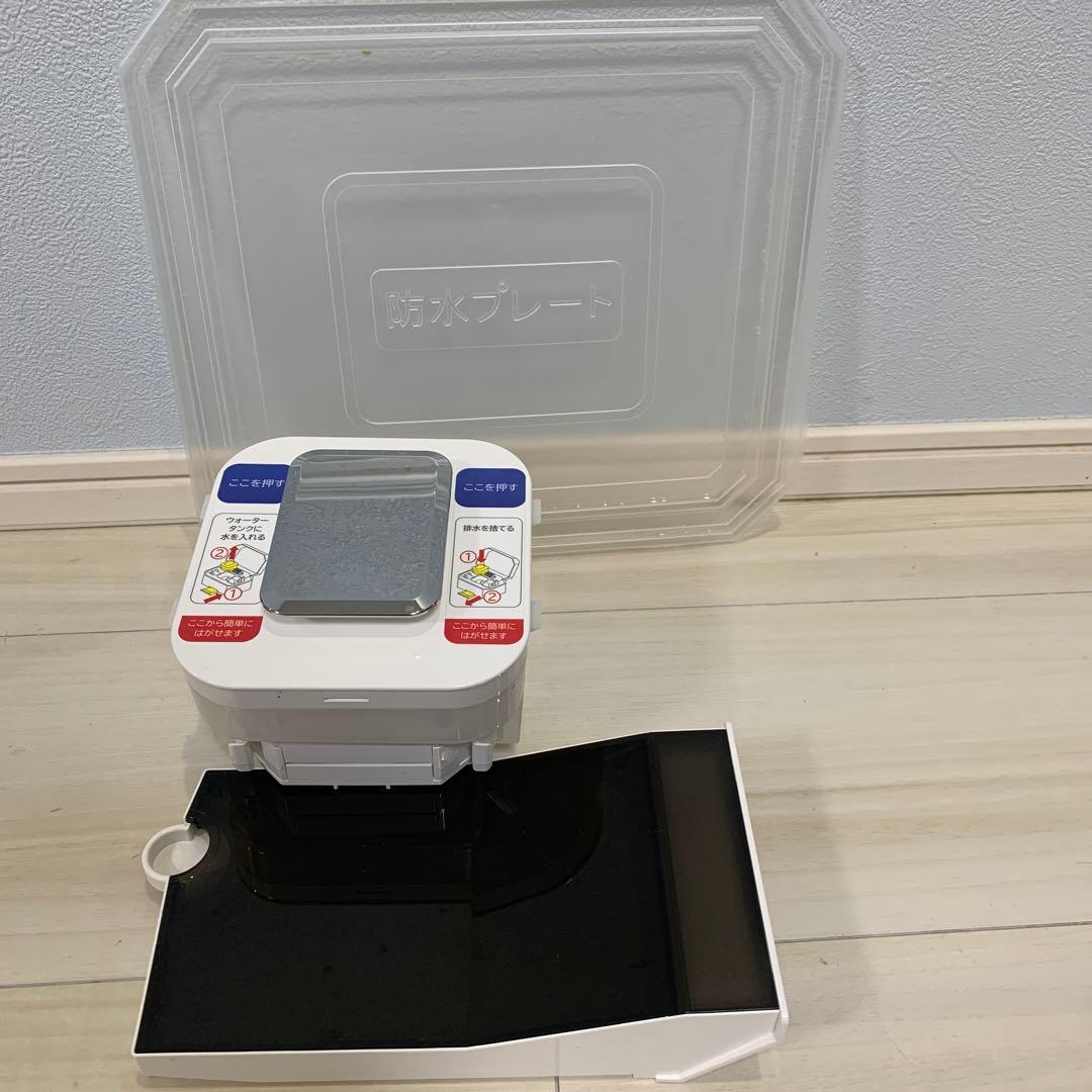 サキナLEDライト付き美顔器 ホワイト