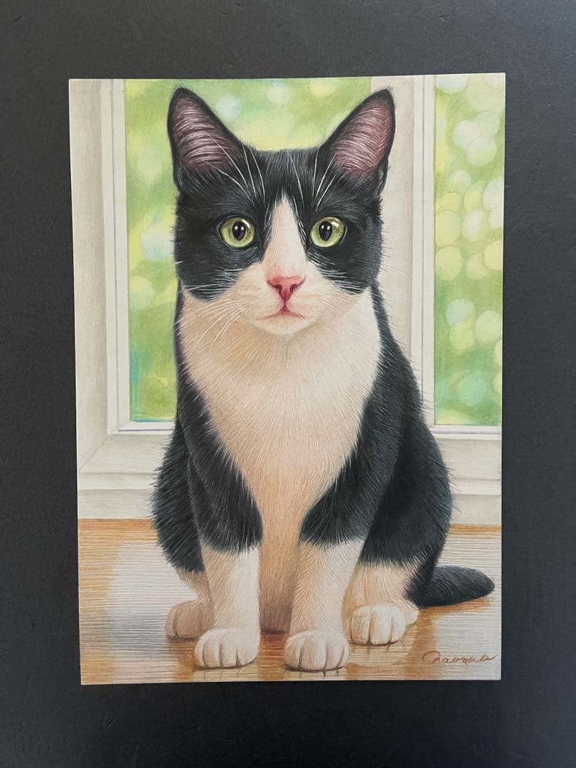 色鉛筆画 A4 ハチワレ猫126