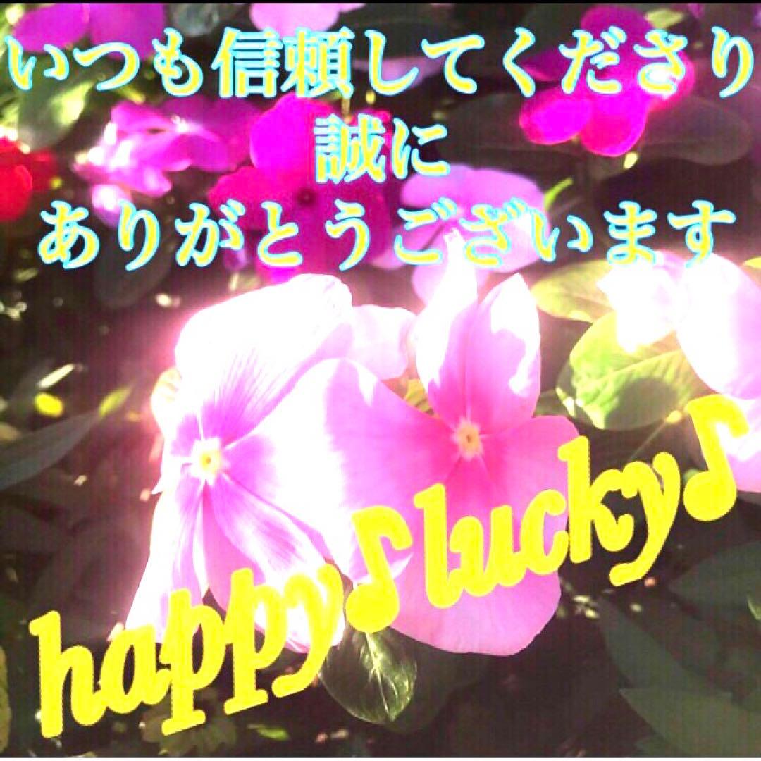 秘符(サラ)悪意　怨念　生き霊　怨霊　呪詛　呪詛返し　護符　霊符　お守り