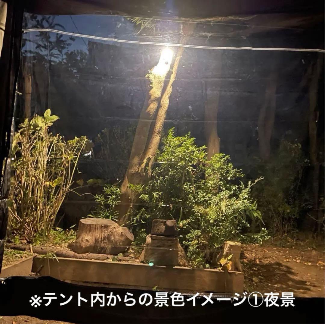 新品 FUTURE FOX BASE EVO用 TPU前幕(透明幕)カスタム特注