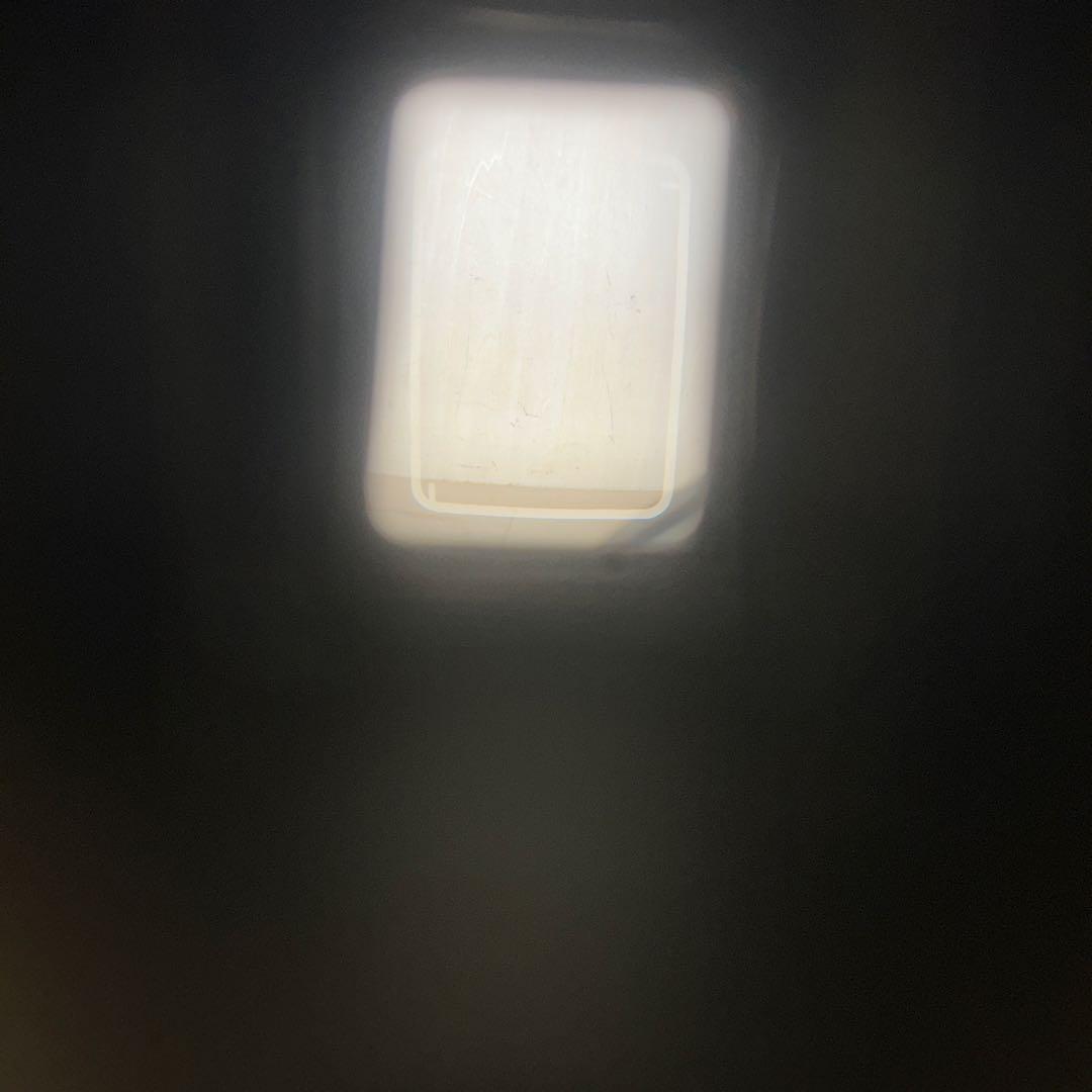 Olympus-Pen Pen D2 露出計作動　完動極美品