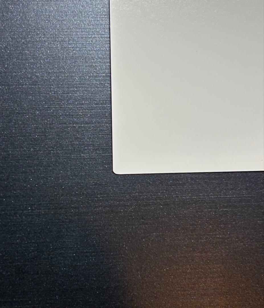 【希少】遊戯王　エラーカード プリントエラー（真っ白　白紙）銀シール付き