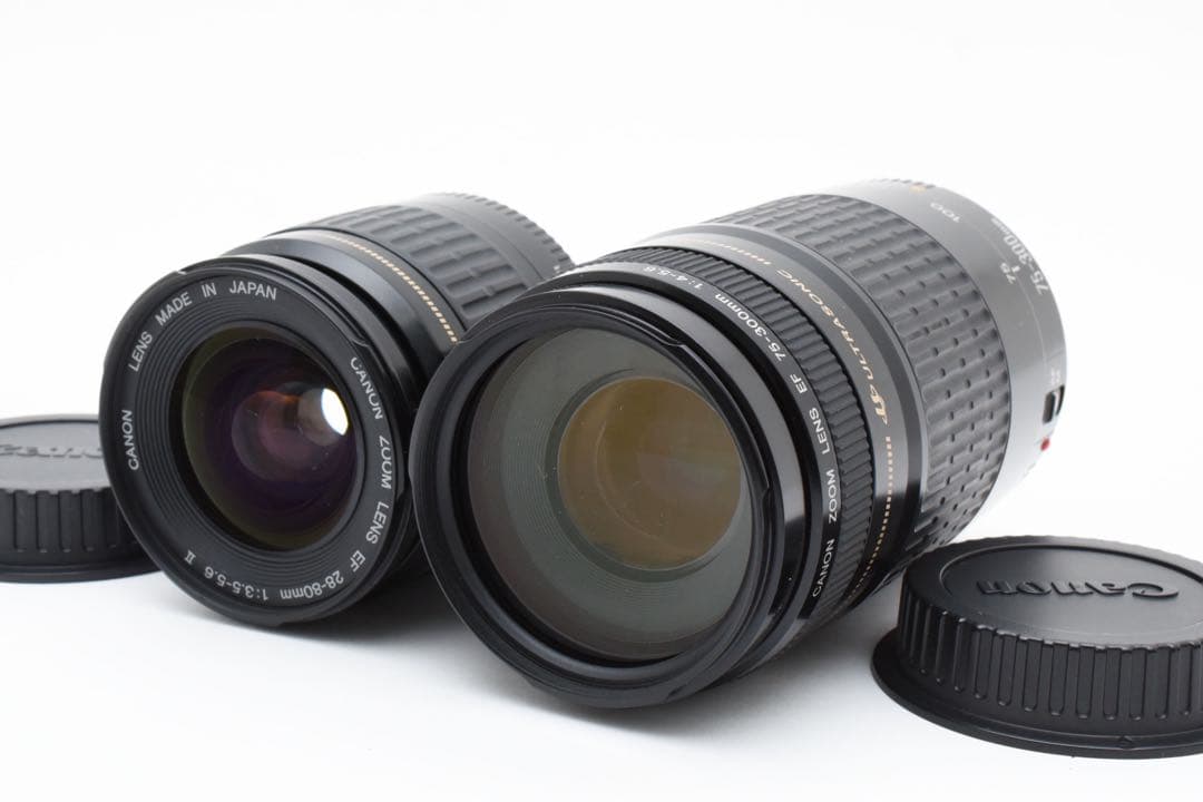 Canon EOS 6D Mark II標準&望遠ダブルレンズセット