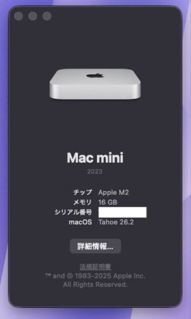 【極美品】Mac Mini m2 16GB 512GB マウス付き