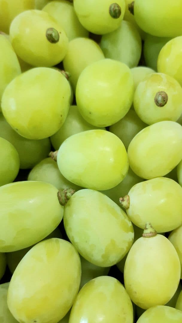 シャインマスカット増量の、大粒多め入り徳用5.5キロ入りの粒バック入りになります