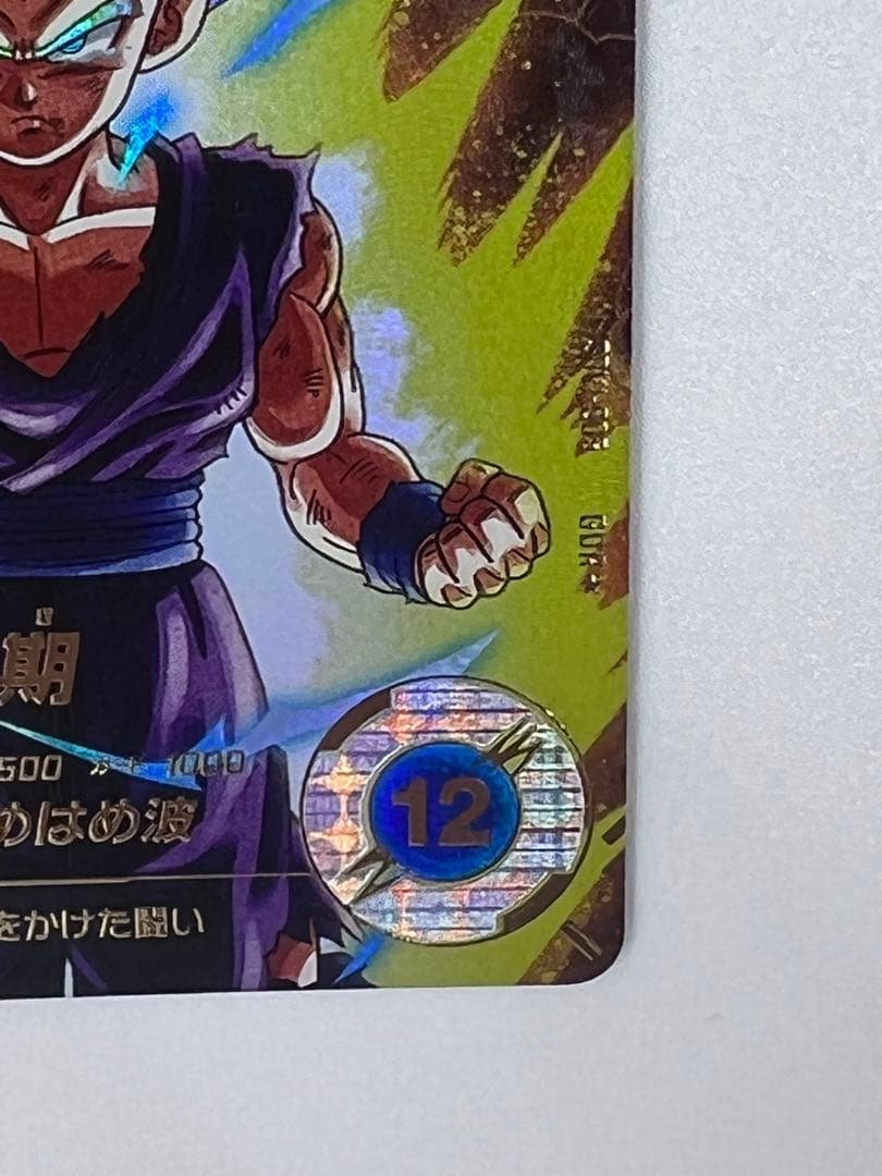 ドラゴンボールバイバース（SDV1）1弾悟飯・少年期 （GDR★/パラレル）5