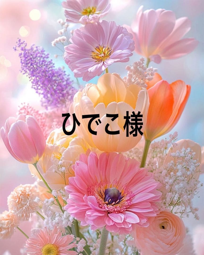 ひでこ出品になります。