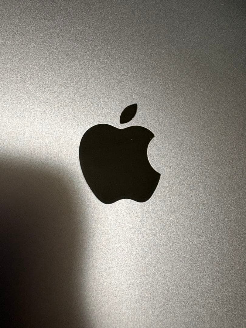 iPad Pro 第一世代　64GB シルバー