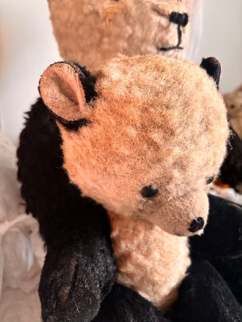 専用　DDRベア パンダベア　アンティークベア　ヴィンテージベア