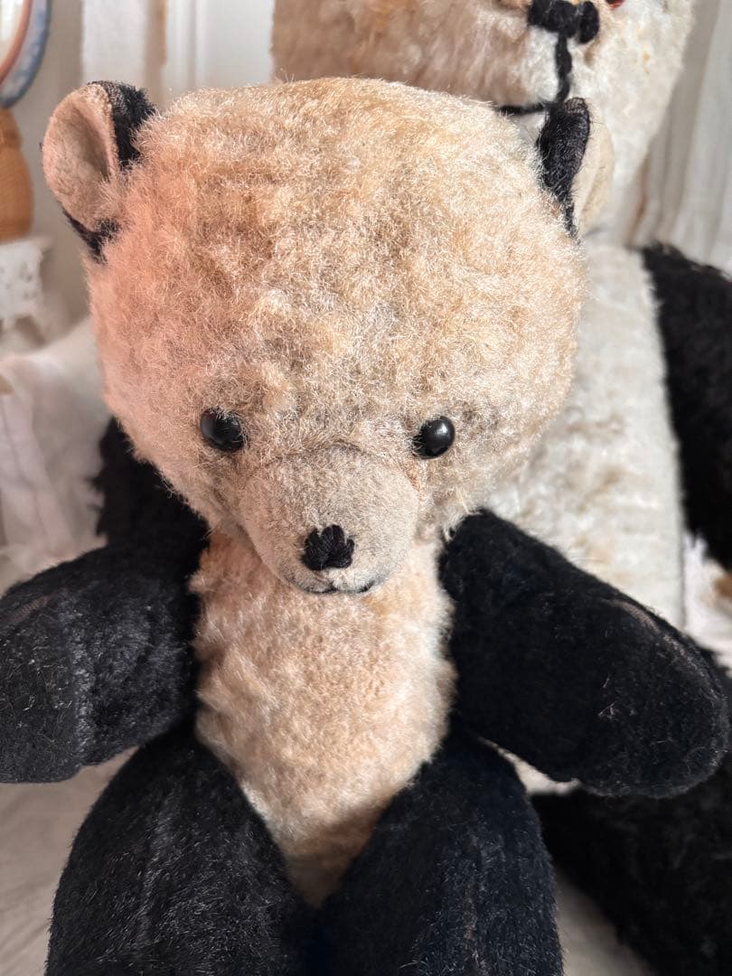 専用　DDRベア パンダベア　アンティークベア　ヴィンテージベア