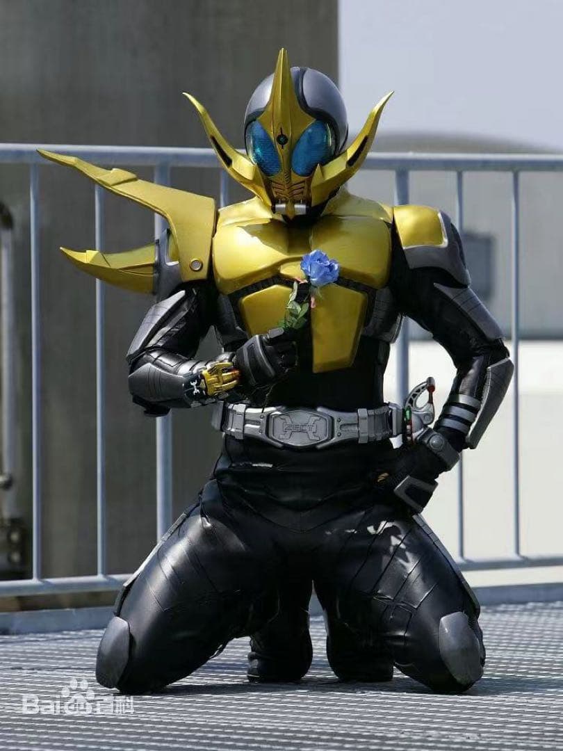 専用　コーカサス　ライブ