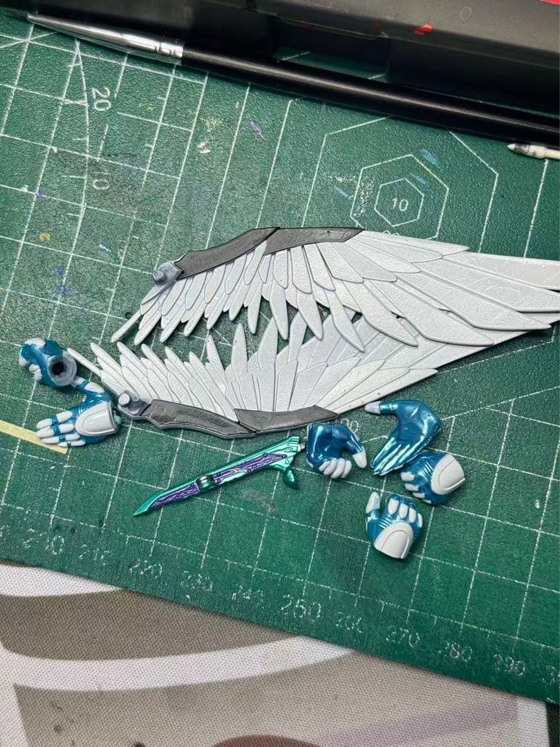 専用　コーカサス　ライブ