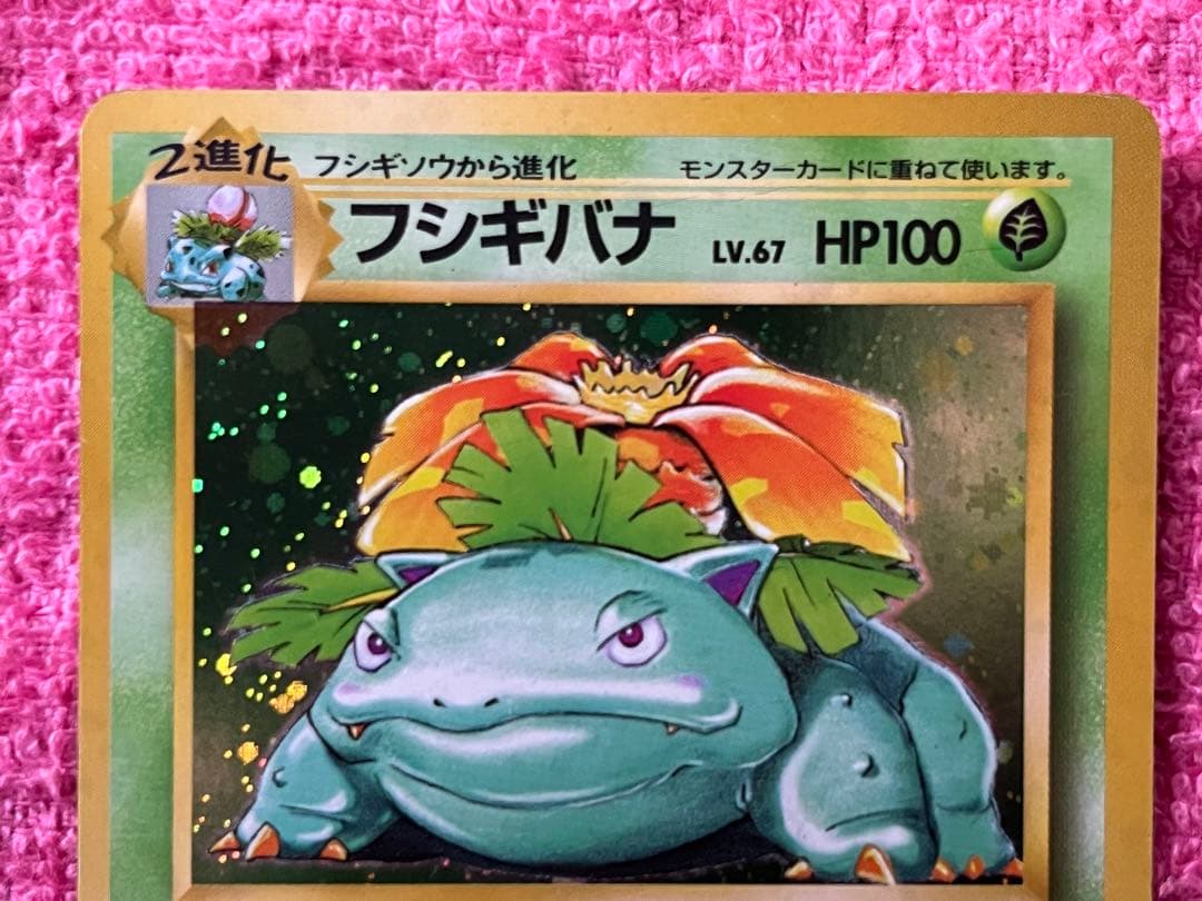 旧裏　フシギバナ　リザードン　カメックス　初代　御三家