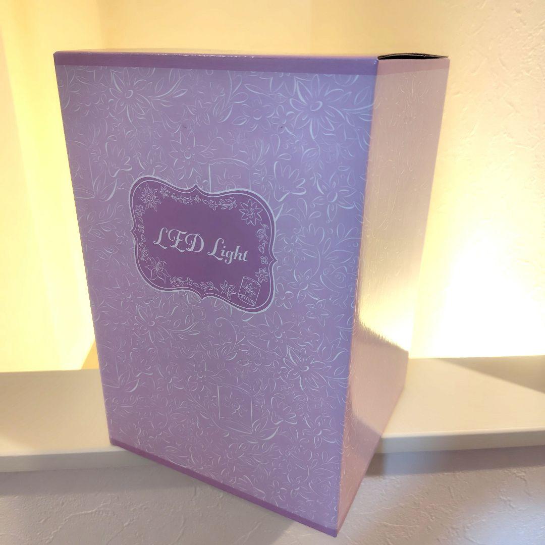 ディズニー ラプンツェル 魔法の花 LEDライト 新品未開封 10周年 ライト