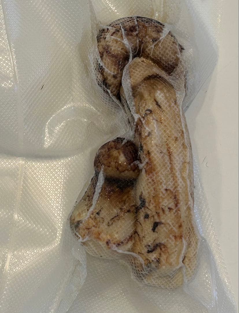 ☆信州産松茸☆冷凍松茸140グラム☆まつたけ☆国産松茸☆⑧☆