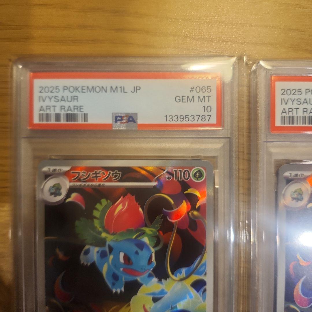 【PSA10】フシギソウ 065/063 AR 鑑定済み　2こ