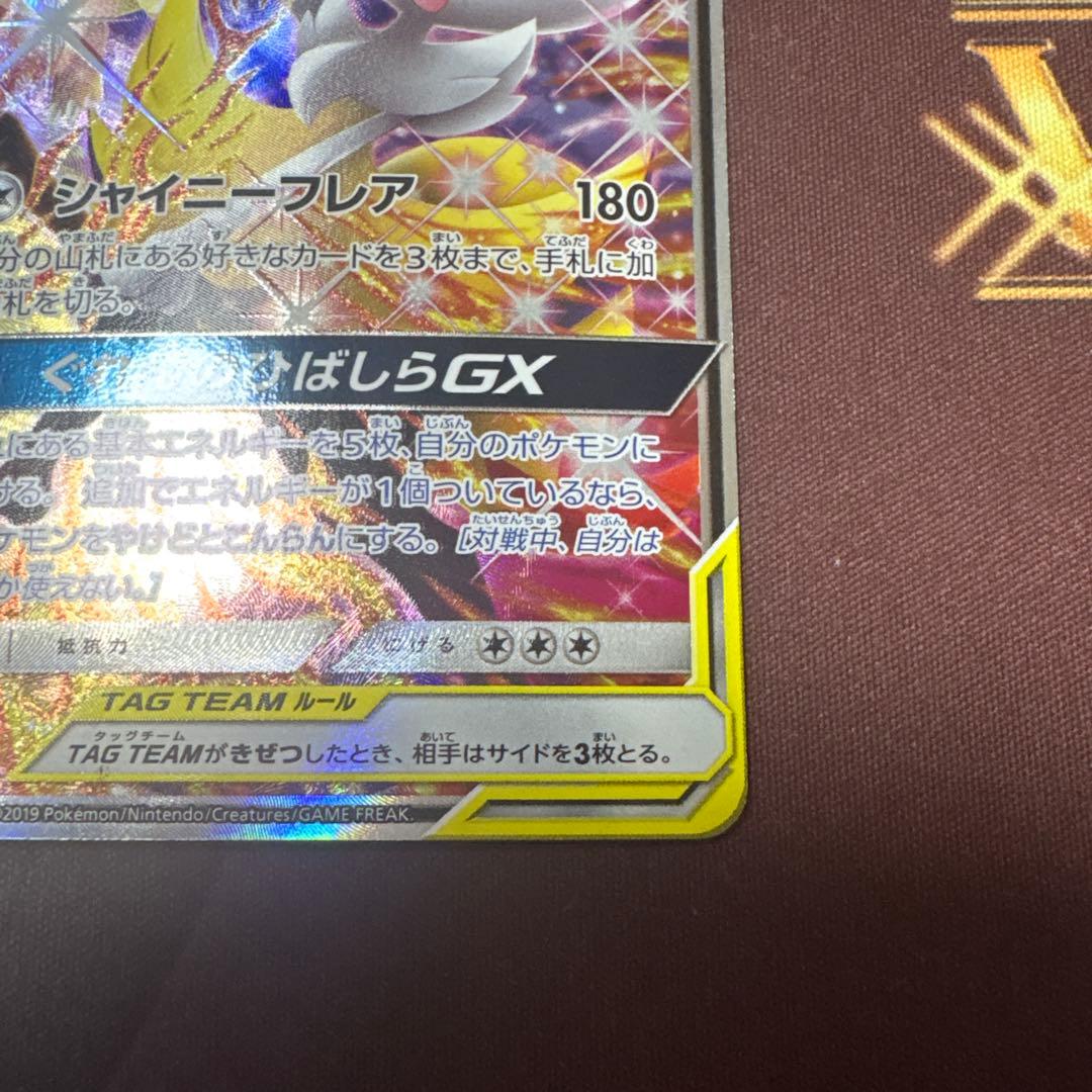 ポケモンカード リザードン＆テールナーgx sr