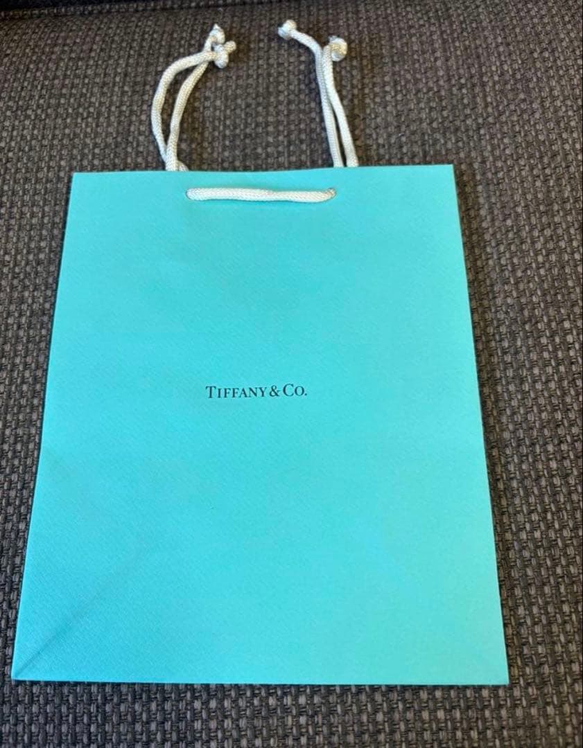 現行品新品未使用ティファニーショッパー紙袋 （20x25 cm）100枚セット