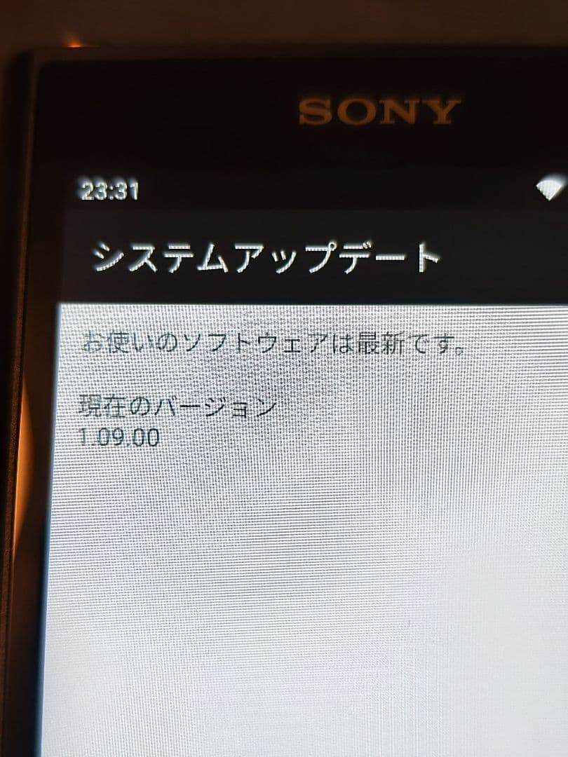 SONY NW-WM1AM2 本体　純正レザーケース