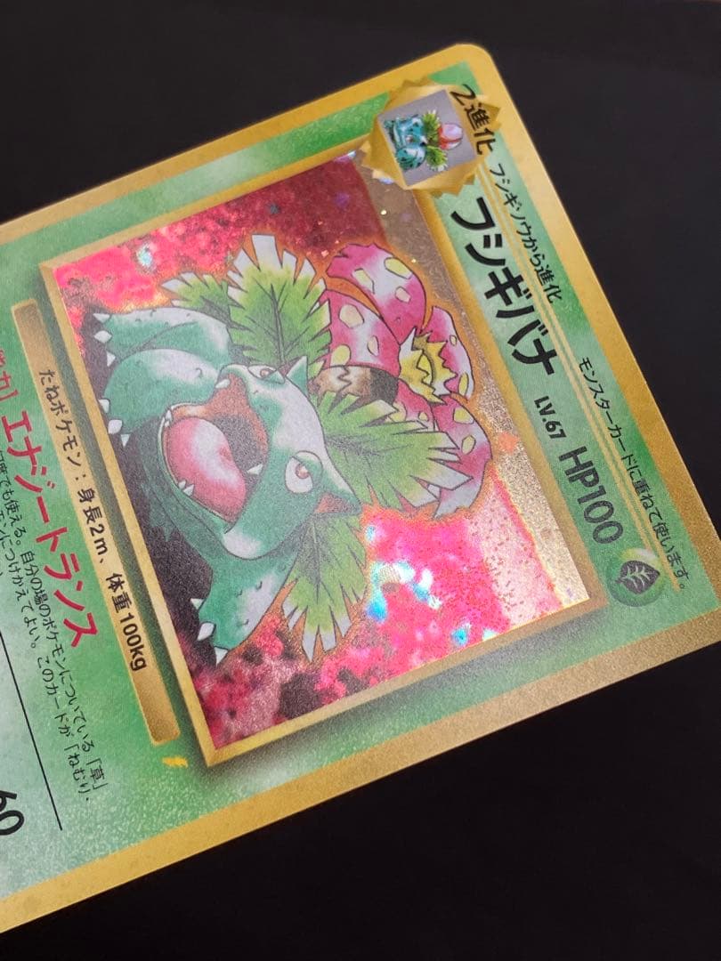 旧裏　フシギバナ　プロモ　とりかえっこプリーズ　キャンペーンカード PROMO