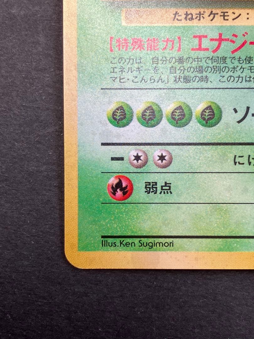 旧裏　フシギバナ　プロモ　とりかえっこプリーズ　キャンペーンカード PROMO