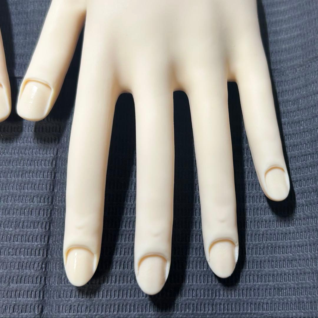 【骨折なし・箱付き】JNEC認定モデルハンド　キューティクルシール　チップ