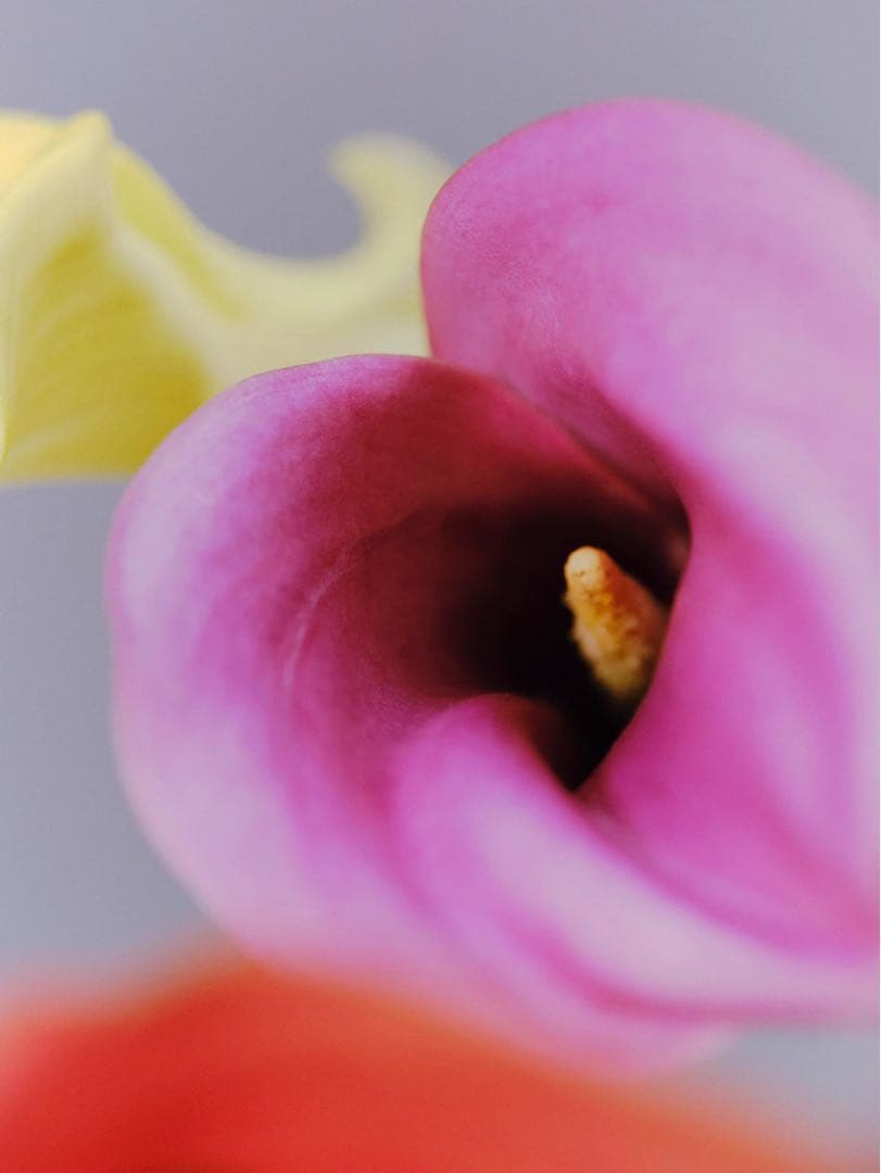 専用　超稀少✨LANVINストローハット麦わら帽子