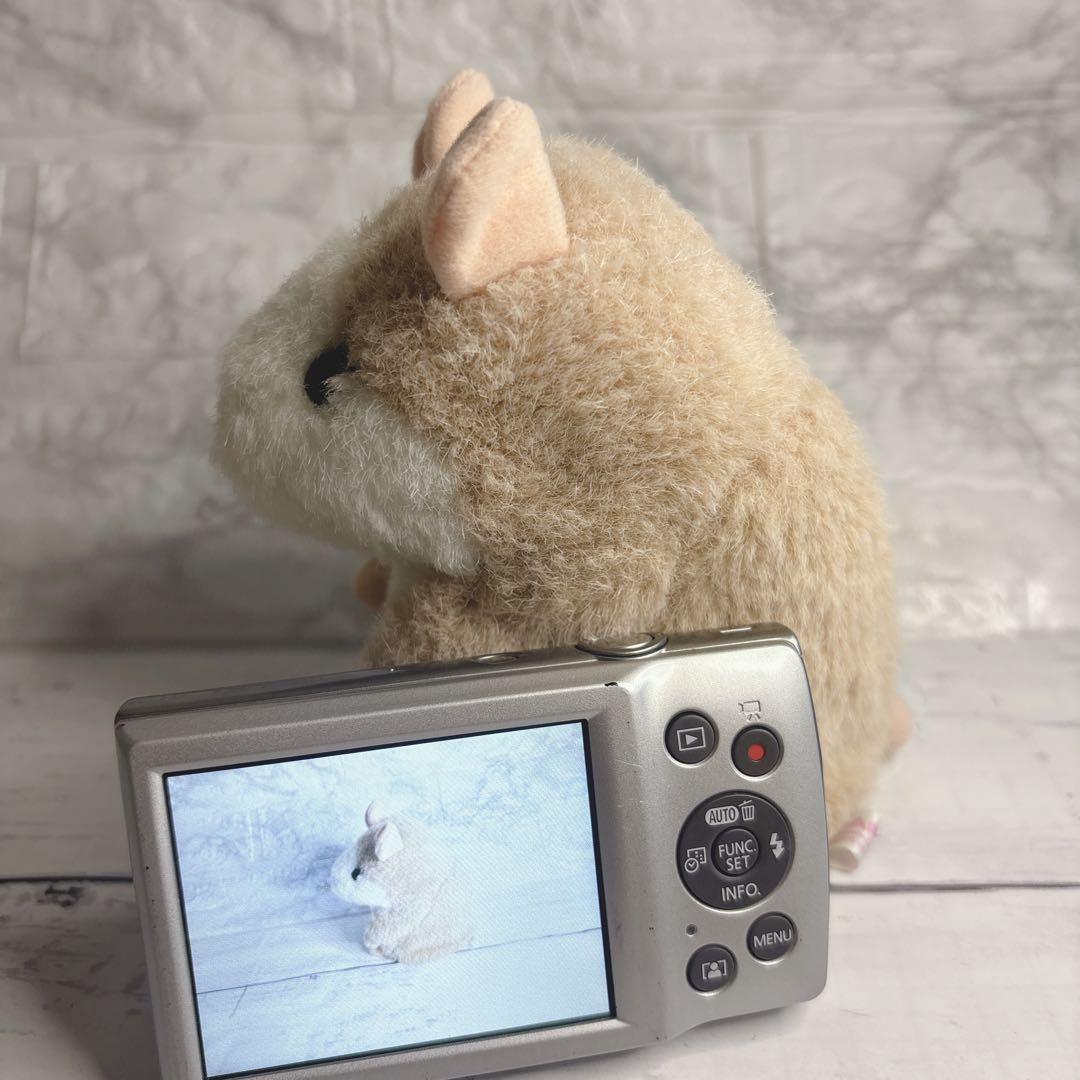 実写美⭕️【動作確認済】Canon IXY 200 デジカメ