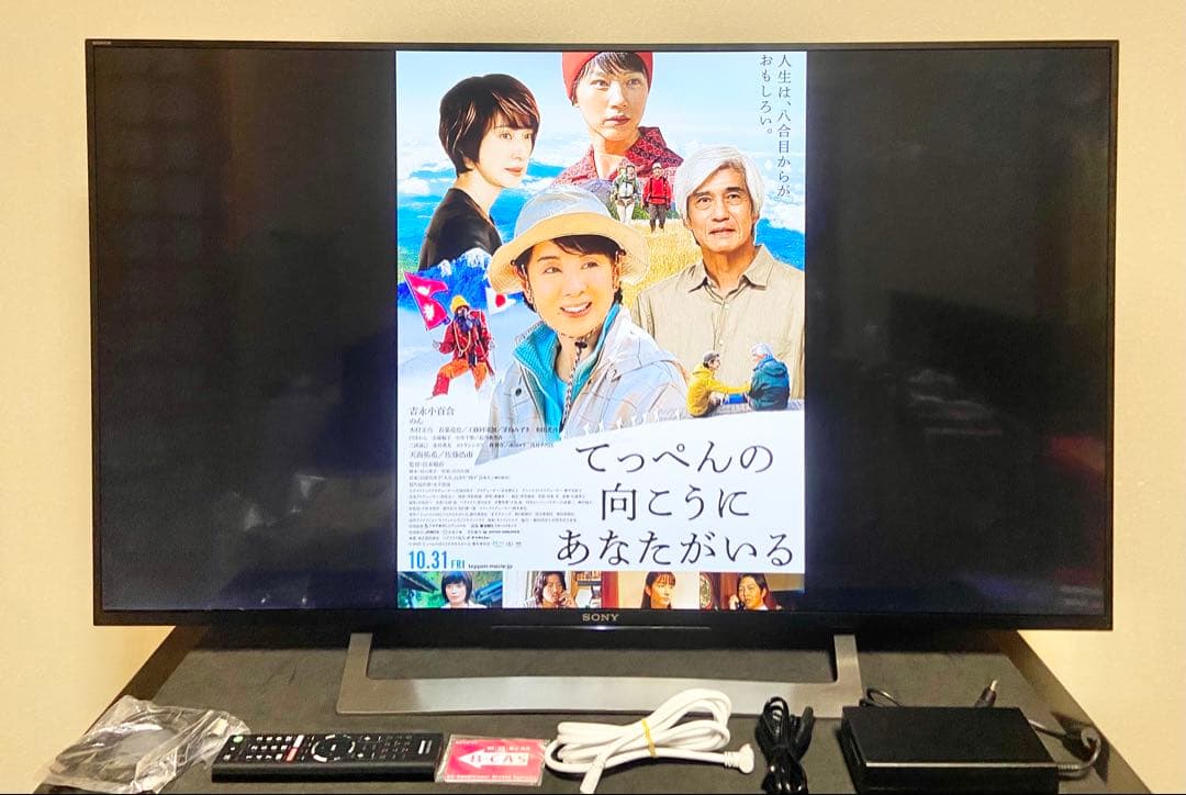 【今だけ優待価格】SONY BRAVIA｜49型4K Android TV