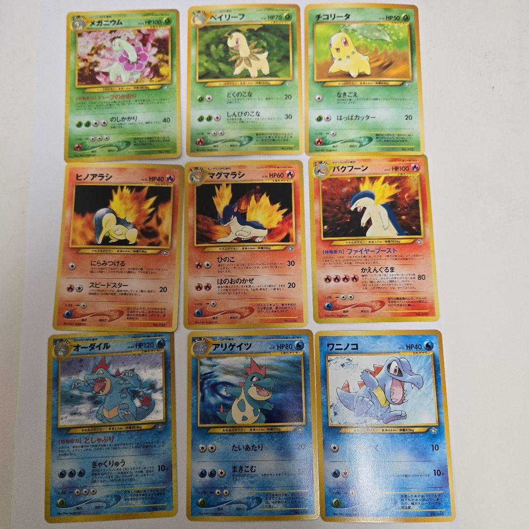 ポケモンカードゲーム neo プレミアムファイルセット