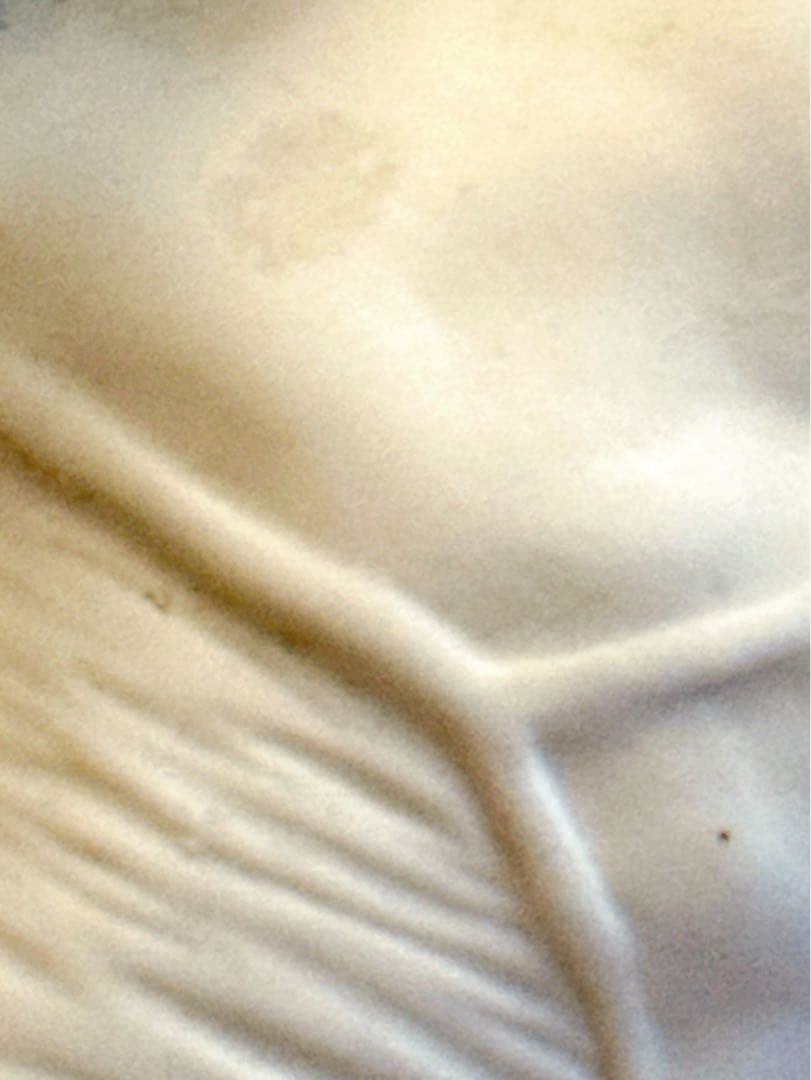 最終値下げ　SELETTI heart vase 心臓 フラワーベース 花瓶