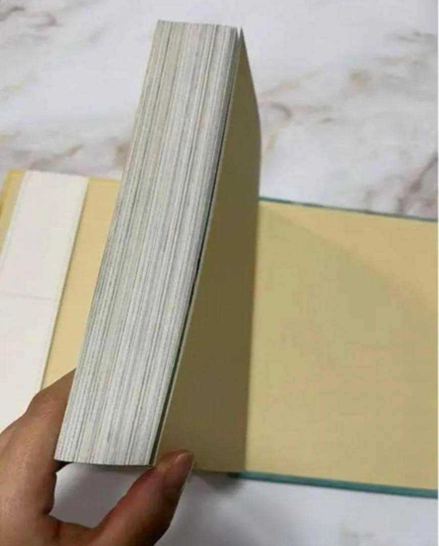 新品　未使用　ジョンデリアン　ブック　ステッカー　アッシュペー フランス