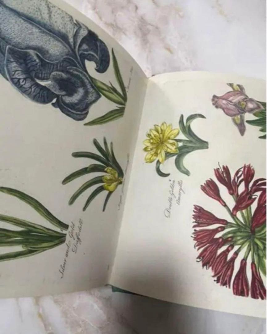 新品　未使用　ジョンデリアン　ブック　ステッカー　アッシュペー フランス